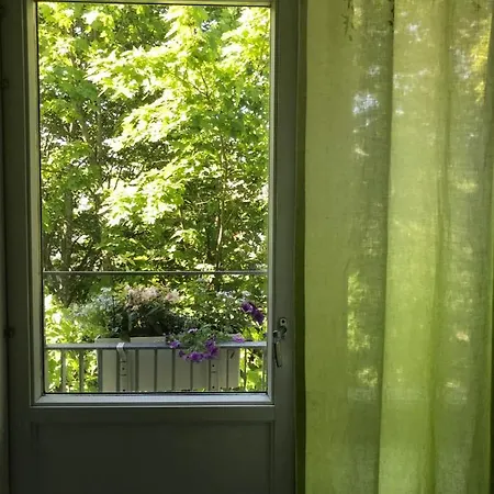 Tuulenpesa * Helsinki